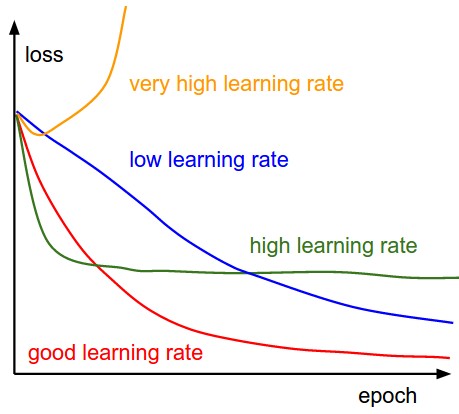 Learning Rate Impact